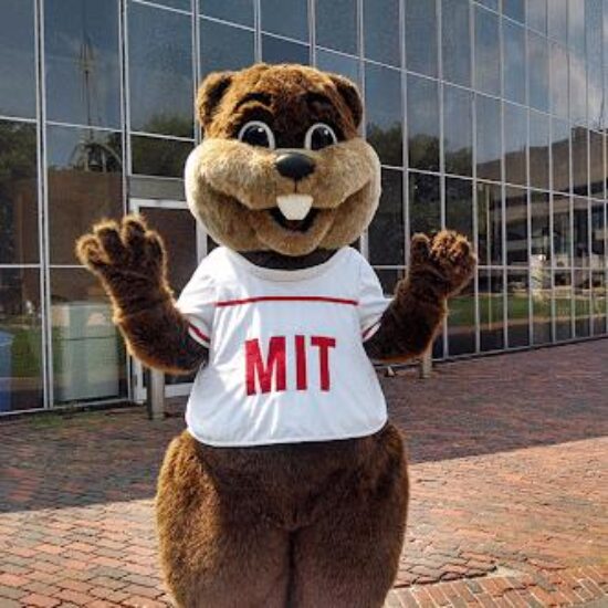 Tim the Beaver