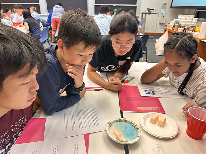 Four attendees work on an experiment in the classroom