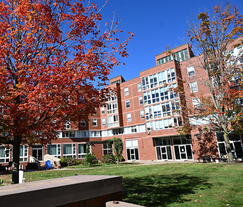 A tree with red leaves in front of a brick building, Next House